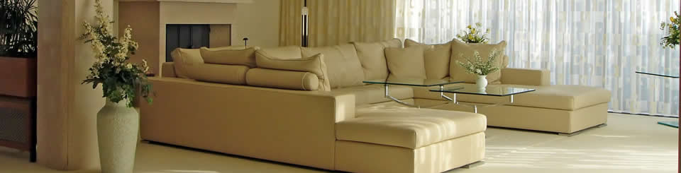Summit Cleaning Services is a full-service leather care company serving the North Lake Tahoe and the Carson City area.